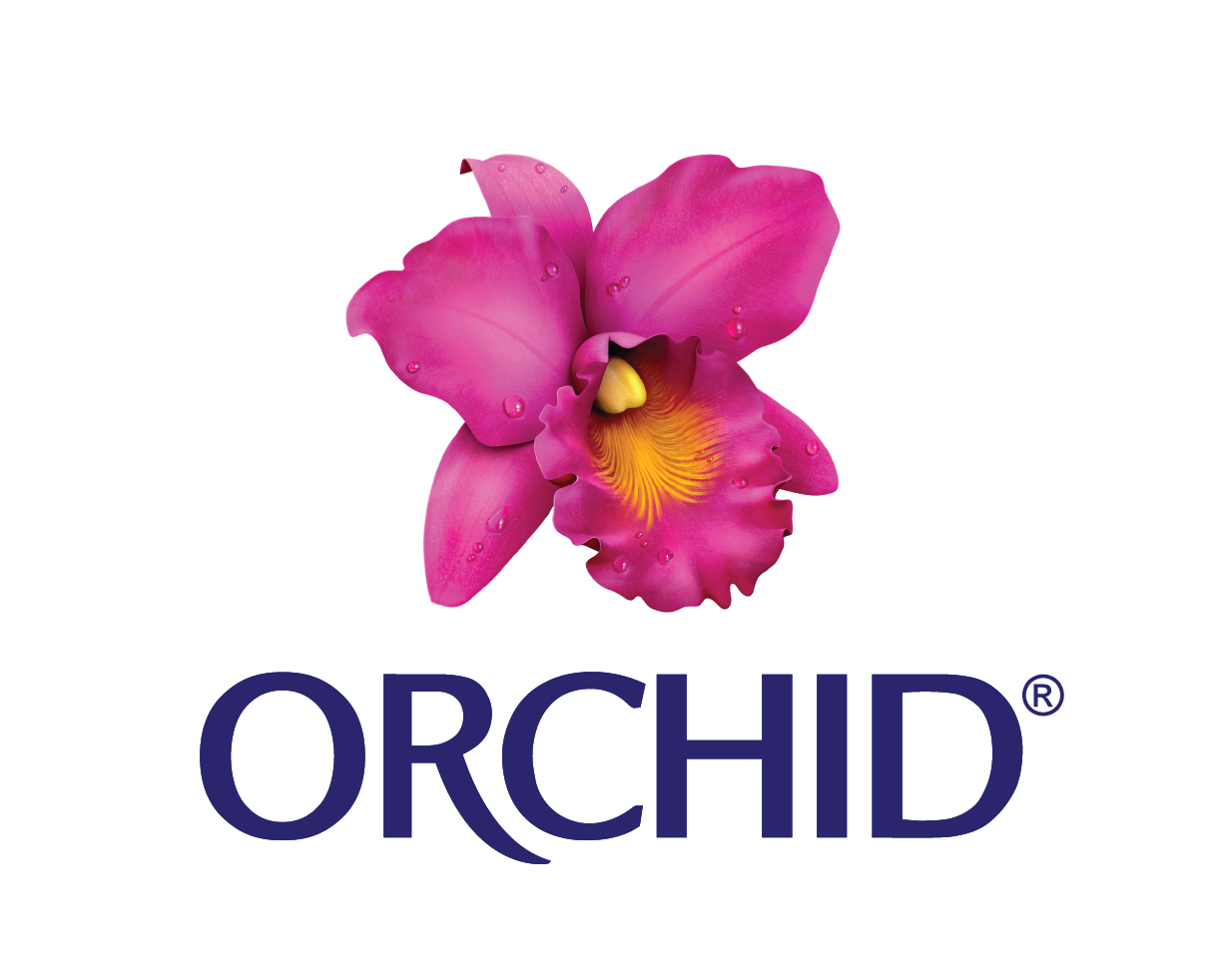 ออร์คิด